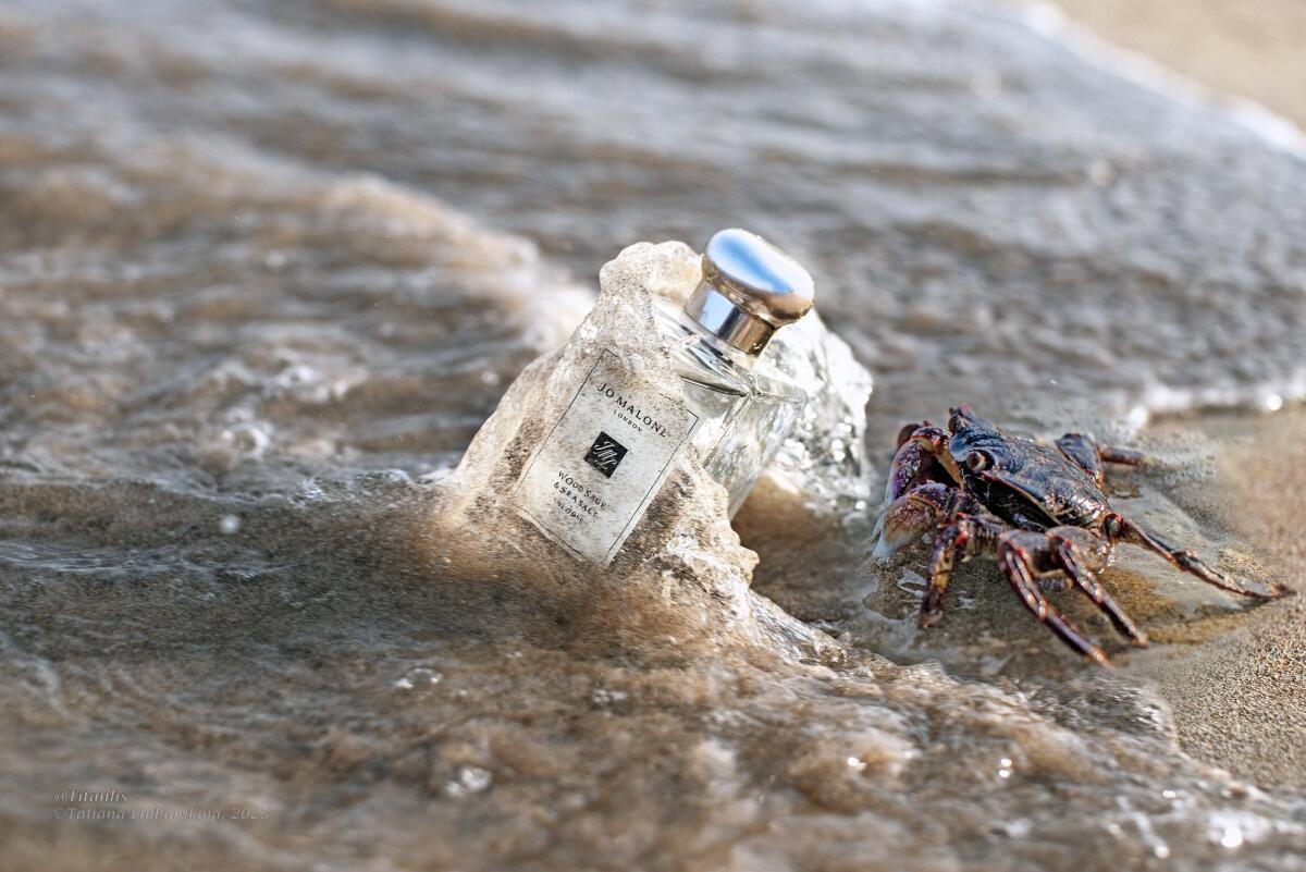 Colônia Jo Malone Wood Sage &  - Luxury Lifestyle Travel avaliação e preço